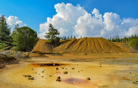 Heavy metal contaminated soil treatment system