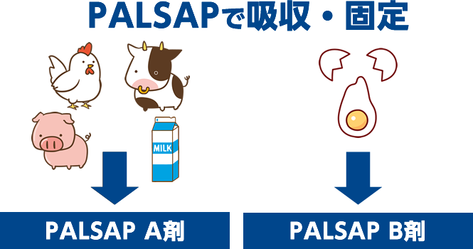 PALSAP A剤、B剤の特徴